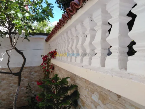 Peinture  et décoration 