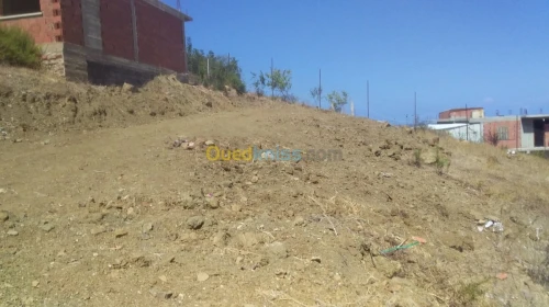 Vente Terrain Tipaza Cherchell