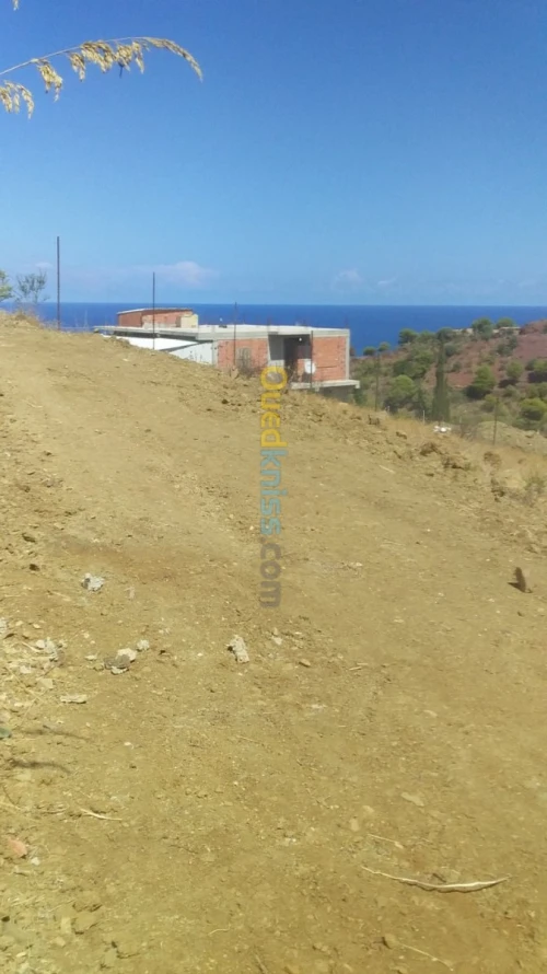 Vente Terrain Tipaza Cherchell