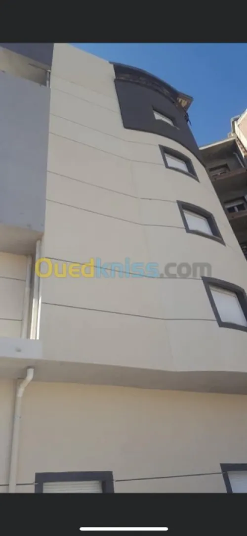 Peinture Facade En Monocouche