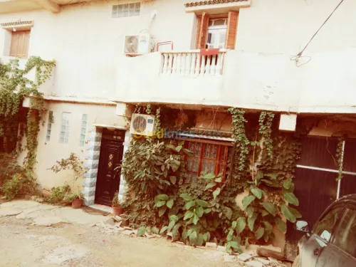 Vente Villa Alger Douera