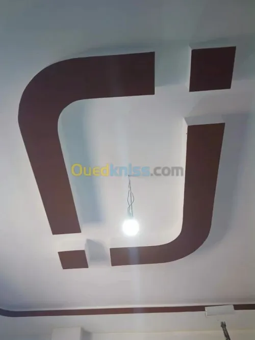 Placo plâtre pvc 