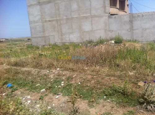 Vente Terrain Sétif Setif