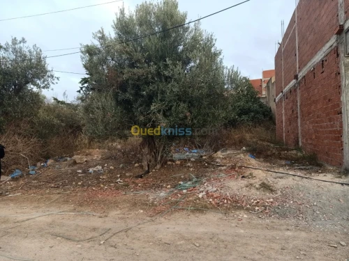 Vente Terrain Tlemcen Nedroma