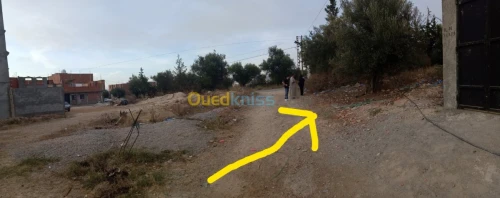Vente Terrain Tlemcen Nedroma
