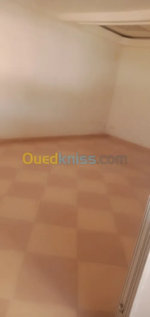 Location Hangar Bejaia Bejaia