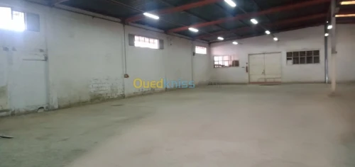 Location Hangar Bejaia Bejaia