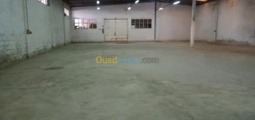 Location Hangar Bejaia Bejaia