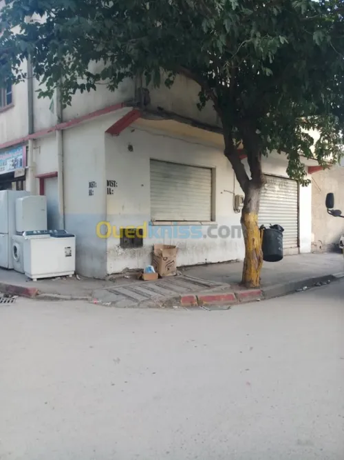 Vente Villa Alger Les eucalyptus