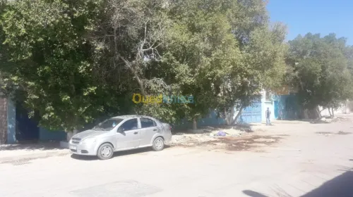 Location bien immobilier Biskra Biskra