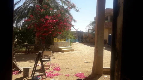 Location bien immobilier Biskra Biskra