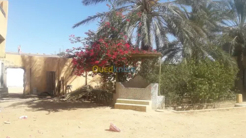 Location bien immobilier Biskra Biskra