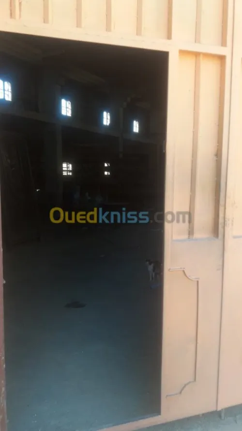 Location bien immobilier Biskra Biskra