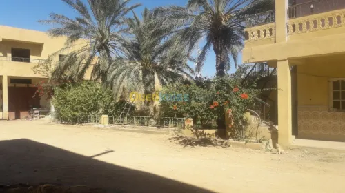 Location bien immobilier Biskra Biskra