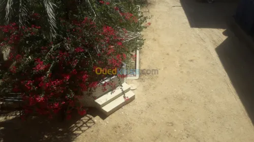 Location bien immobilier Biskra Biskra