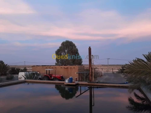 Vente Terrain Agricole Biskra Oumache