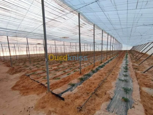 Vente Terrain Agricole Biskra Oumache