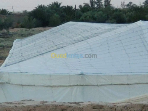 Vente Terrain Agricole Biskra Oumache