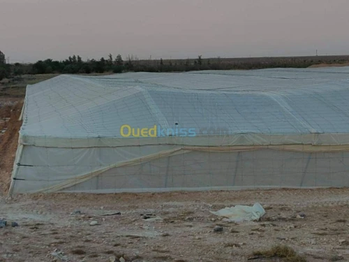 Vente Terrain Agricole Biskra Oumache