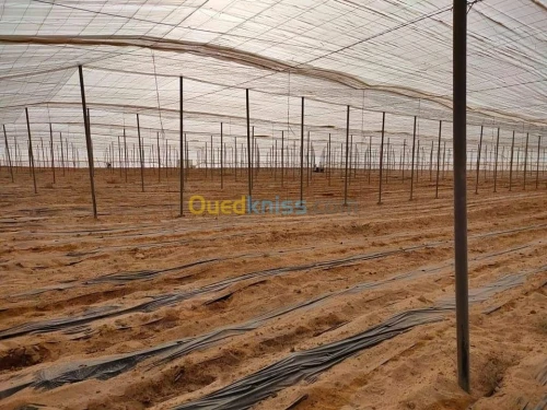 Vente Terrain Agricole Biskra Oumache
