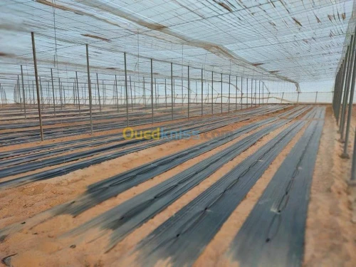 Vente Terrain Agricole Biskra Oumache
