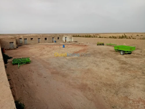 Vente Terrain Agricole Biskra Oumache