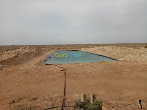 Vente Terrain Agricole Biskra Oumache