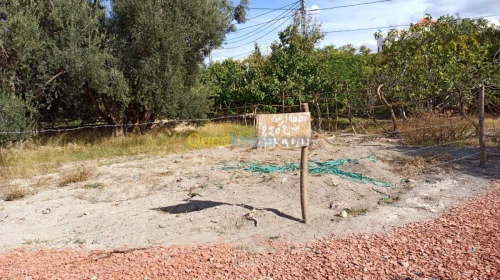 Vente Terrain Batna Ngaous