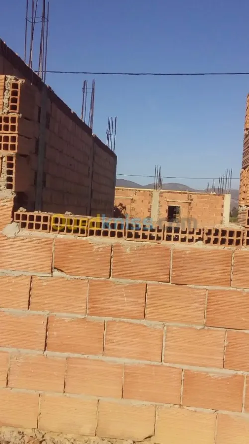 Vente Terrain Ain defla Ain defla