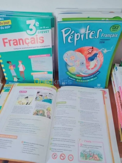 Formation des langues 
