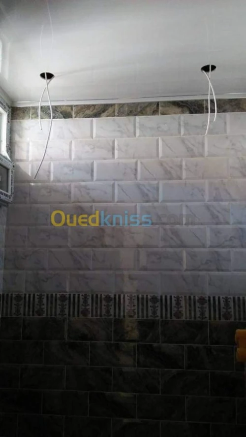 Faux plafonds / placoplatre / P. V. C