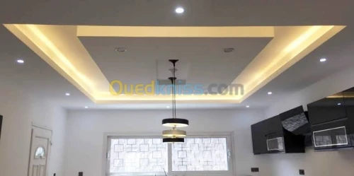 Faux plafonds / placoplatre / P. V. C