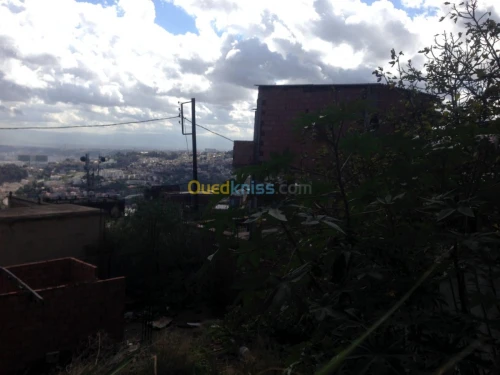 Vente Terrain Alger Bouzareah
