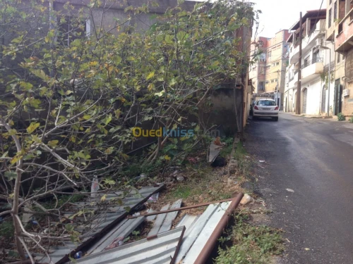Vente Terrain Alger Bouzareah