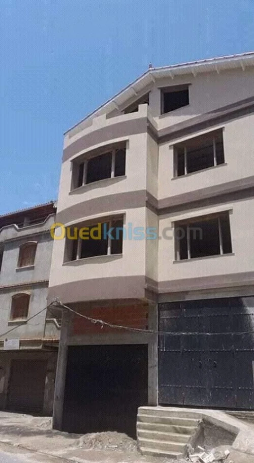 Peinture Facade En Monocouche