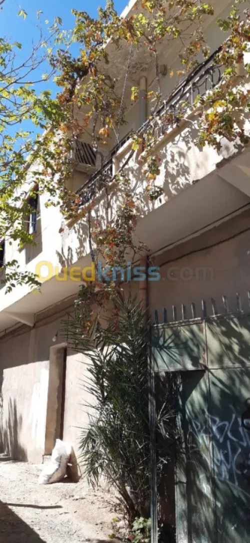 Vente Villa Batna Batna