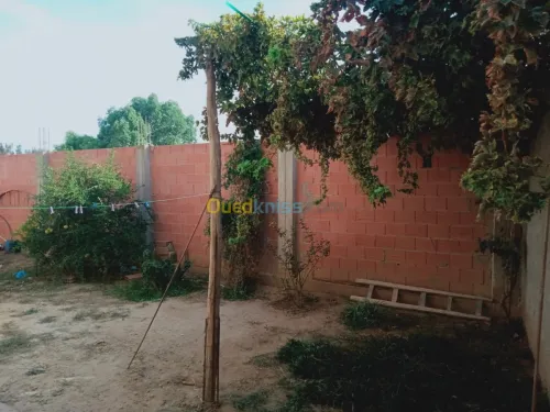 Vente Villa Chlef Ouled fares