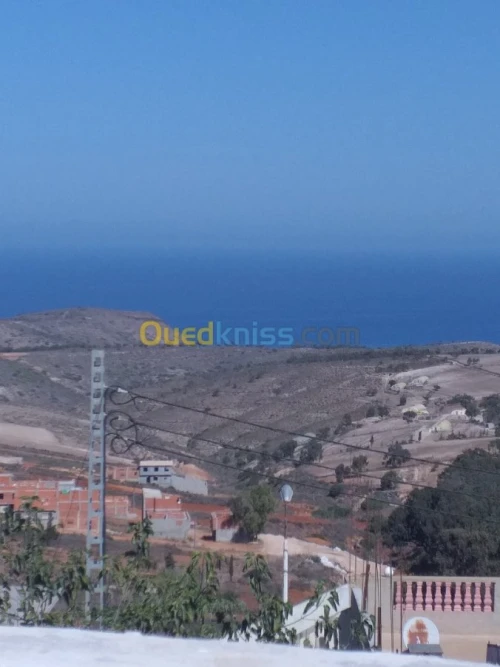 Vente bien immobilier Tlemcen Marsa ben mhidi