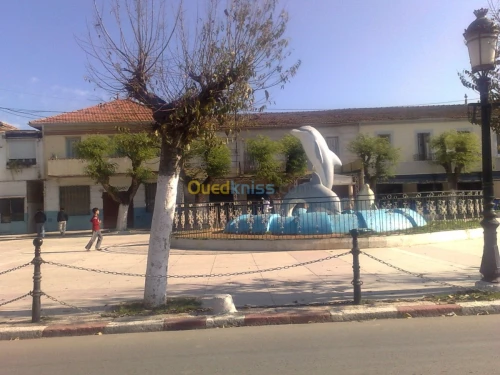 Location Appartement F3 Alger Staoueli