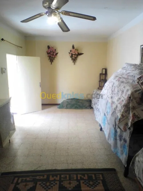 Vente Appartement F7 Laghouat Laghouat