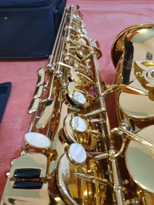 Saxophone alto