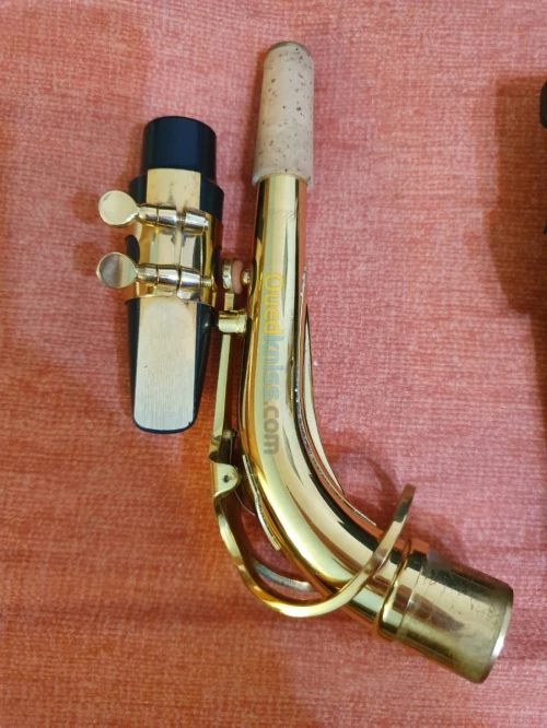 Saxophone alto