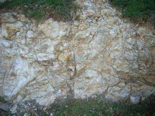 CEGM: Cabinet d'expertise