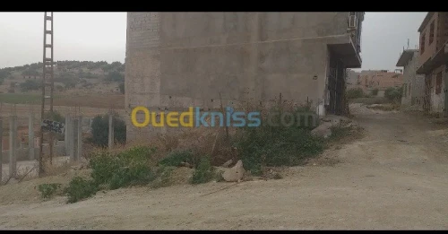 Vente Terrain Tlemcen Tlemcen
