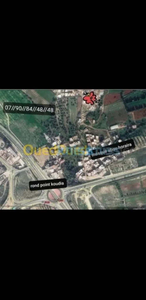 Vente Terrain Tlemcen Tlemcen