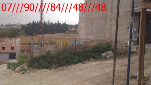 Vente Terrain Tlemcen Tlemcen