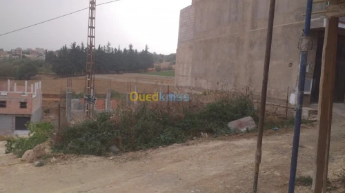Vente Terrain Tlemcen Tlemcen