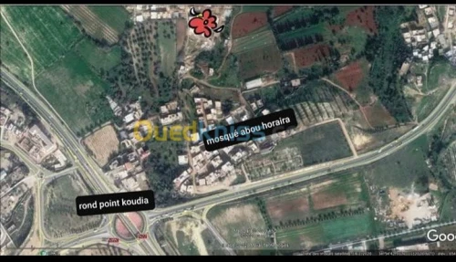 Vente Terrain Tlemcen Tlemcen