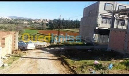 Vente Terrain Tlemcen Tlemcen