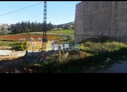Vente Terrain Tlemcen Tlemcen